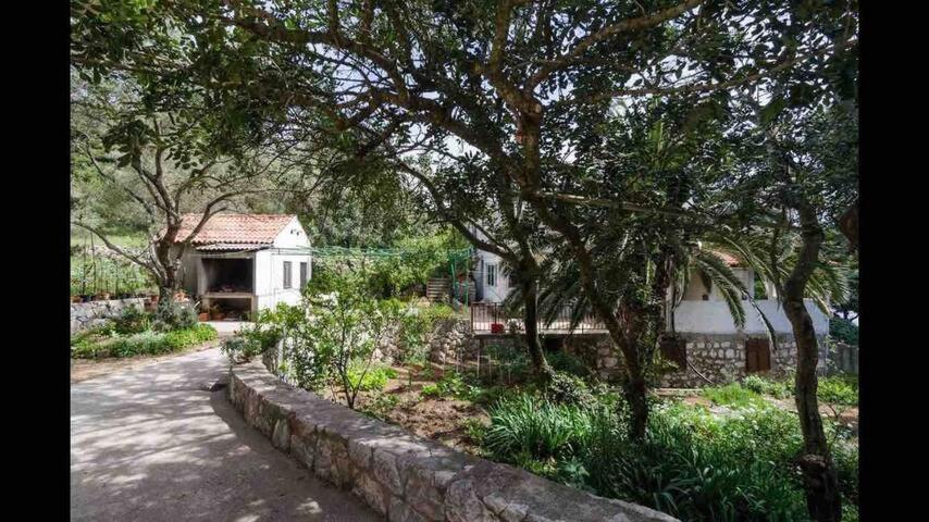 Villa Franic Saplunara Exterior foto